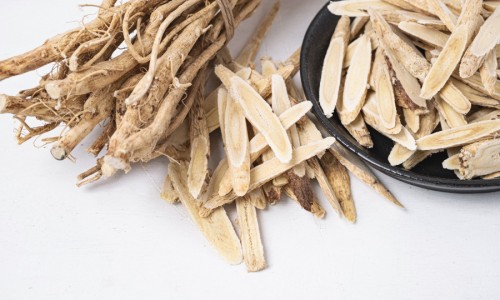 优盾草药功效主治图片-优盾草功效网 - 网站提供优盾草药功效主治图片小常识、忧遁草有什么功效和作用